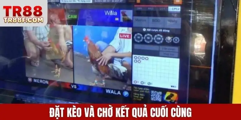 Đặt kèo và chờ kết quả cuối cùng