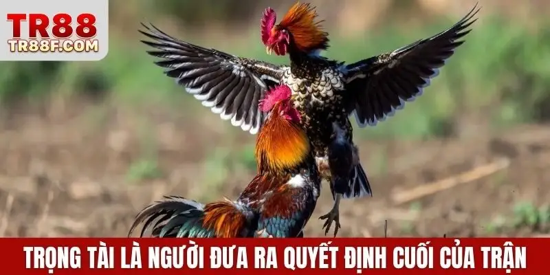 Trọng tài là người đưa ra quyết định cuối cùng của trận